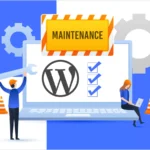 monthly-wordpress-maintenance-1